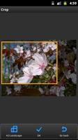 Tadano Photo Editor
