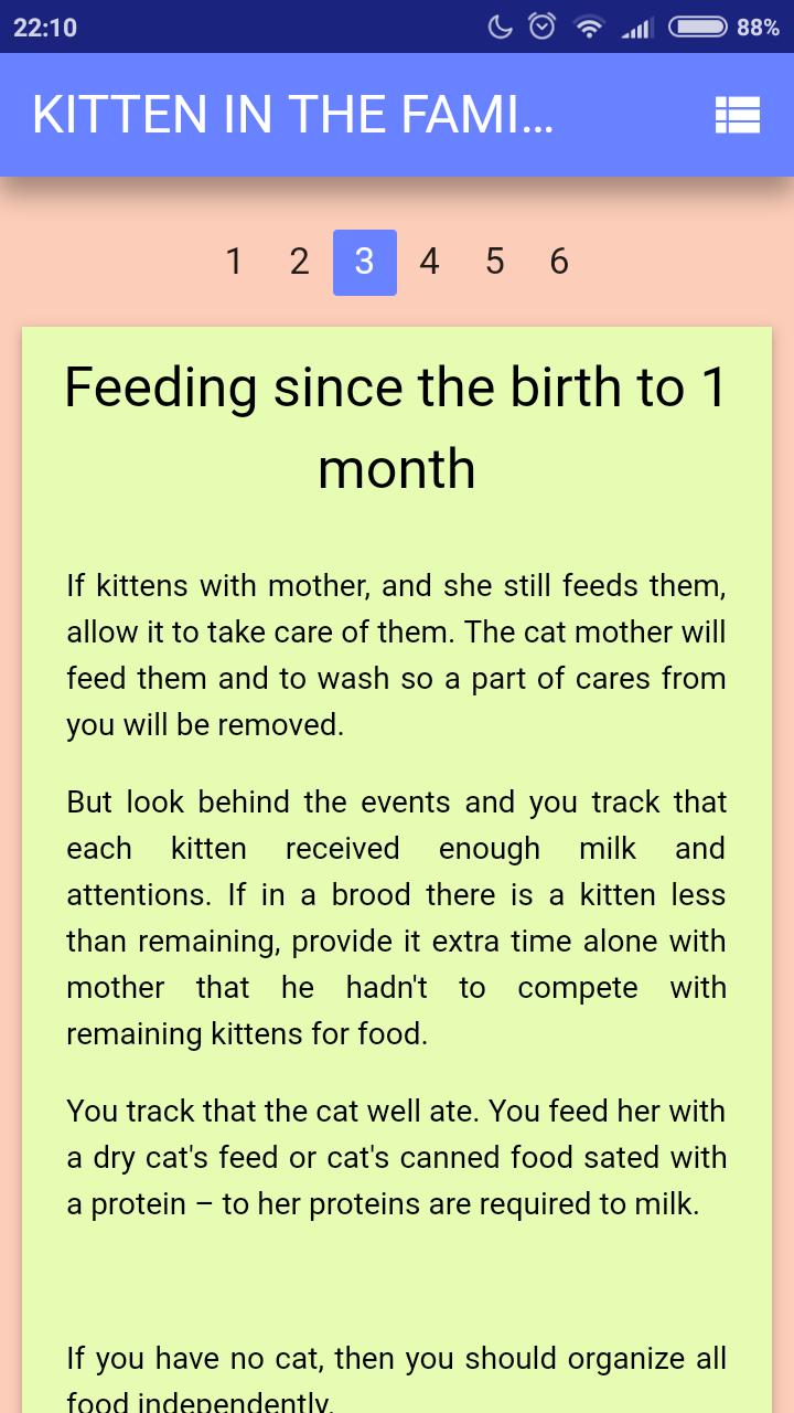 Kitten in family