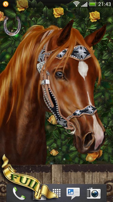 Arabian Horse Free Wallpaper