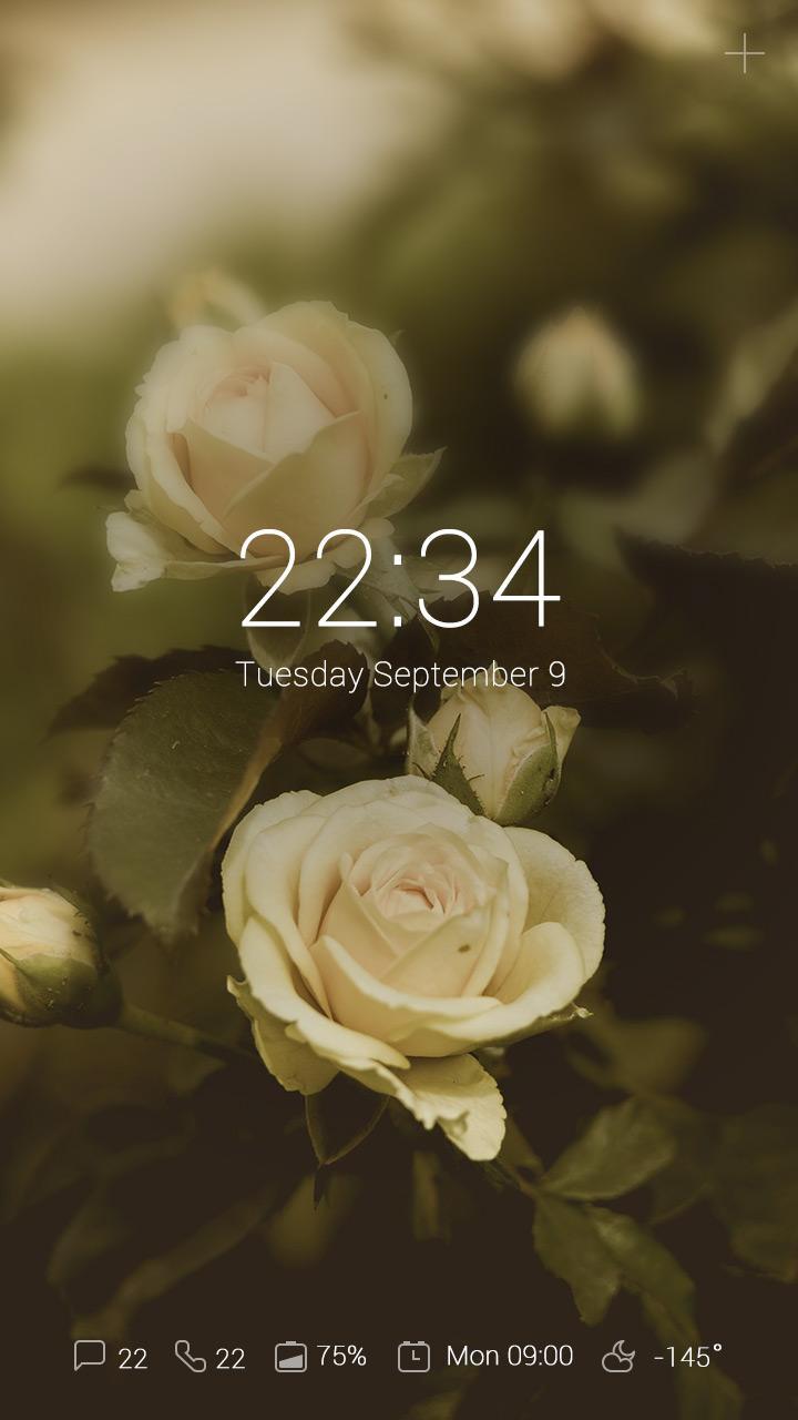 (FREE) Blossom GO Locker Theme