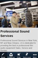 Professional Sound Services