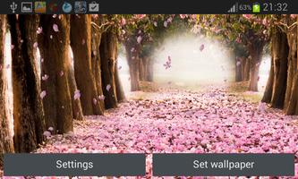 Cherry Blossom Live Wallapper