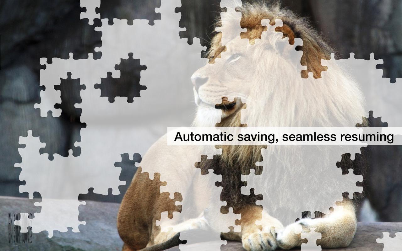 Lion Jigsaw Puzzles Demo