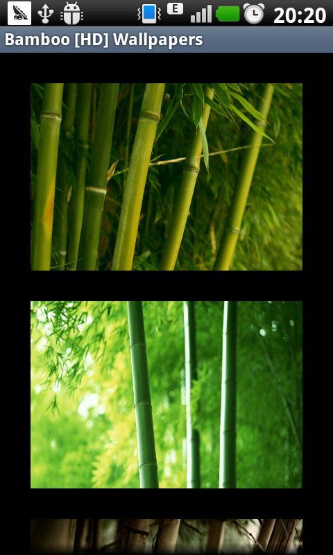 Bamboo [HD] Wallpapers