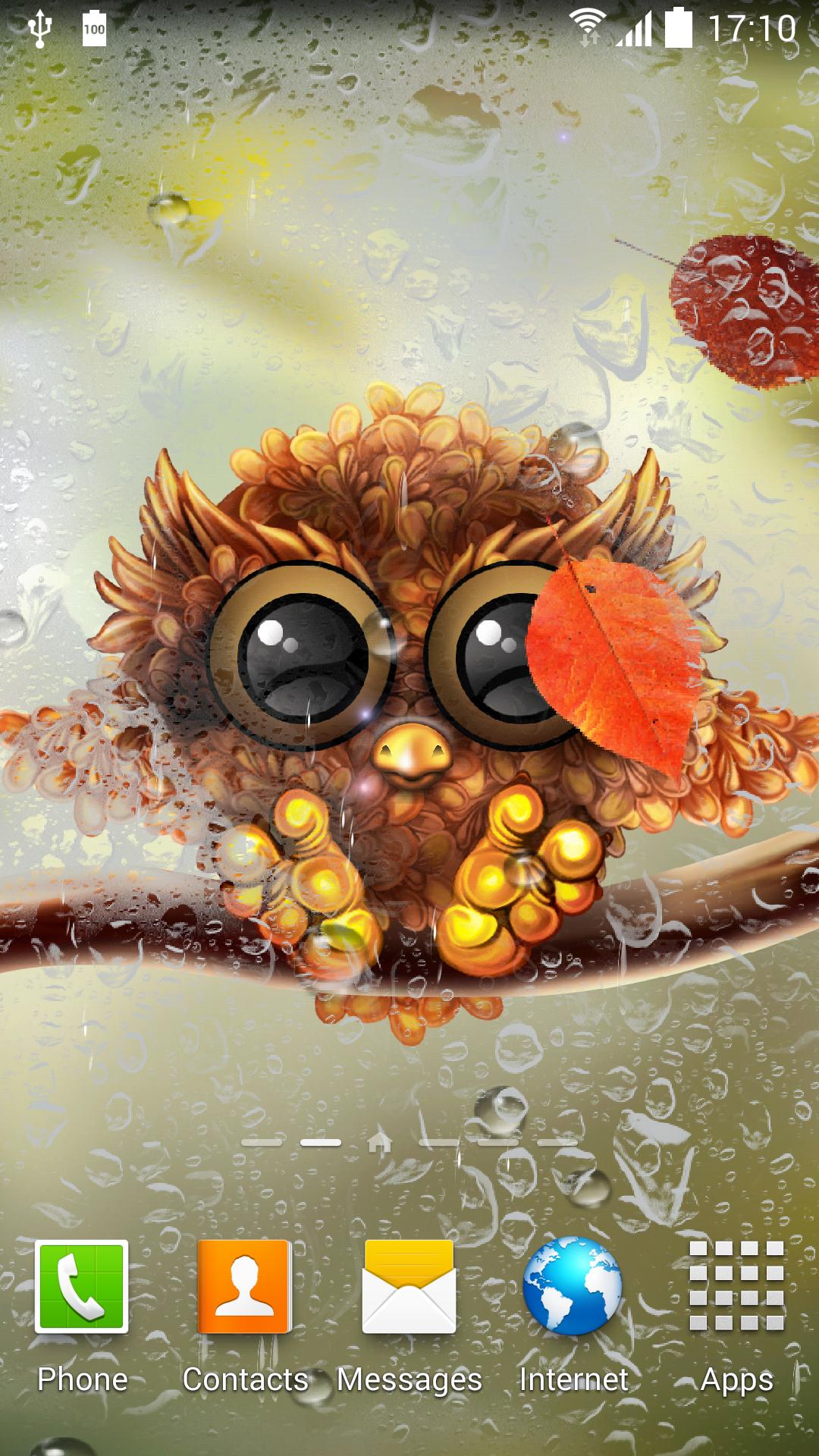 Autumn Little Owl Wallpaper