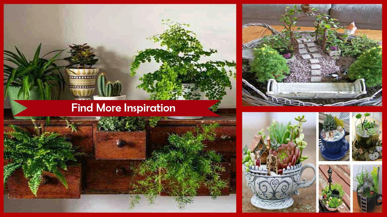 Miniature Gardens Ideas