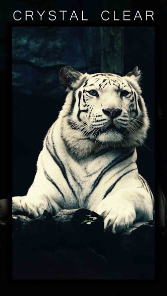 Superhero Anime Wallpapers