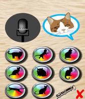 translator talking cat