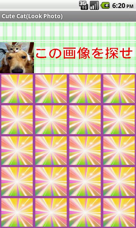 Cute Cat free(Look Photo)