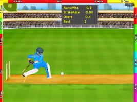 T20 Cricket Challenge