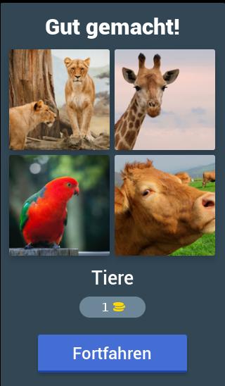 1 Wort 4 Bilder  Spiel