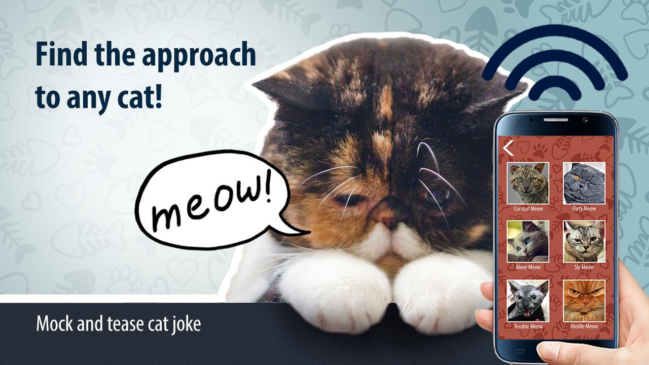 Mock and tease cat joke