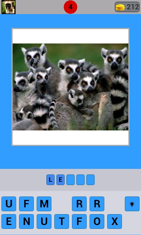 Animal Pictures Quiz