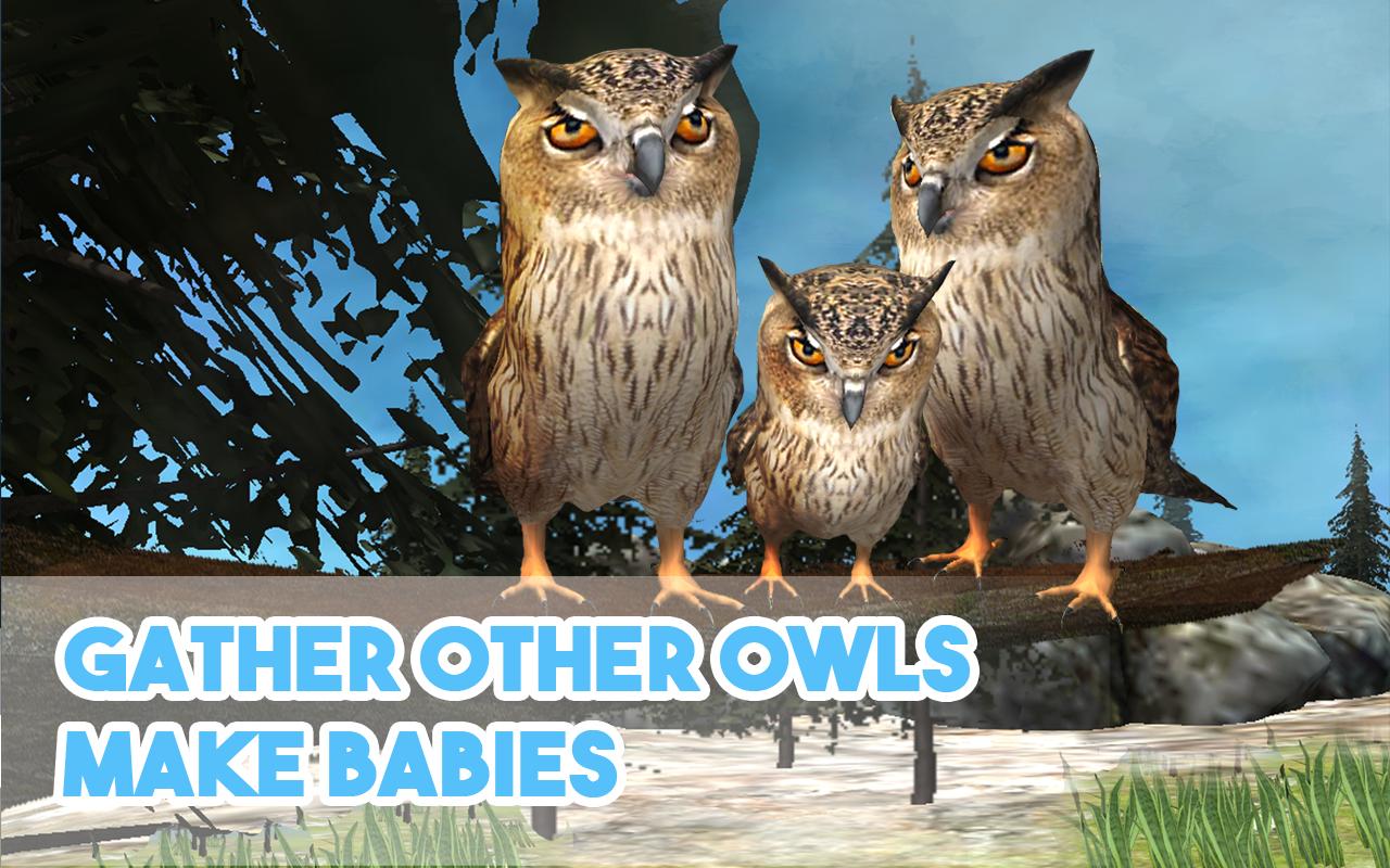 Wild Owl Simulator 3D