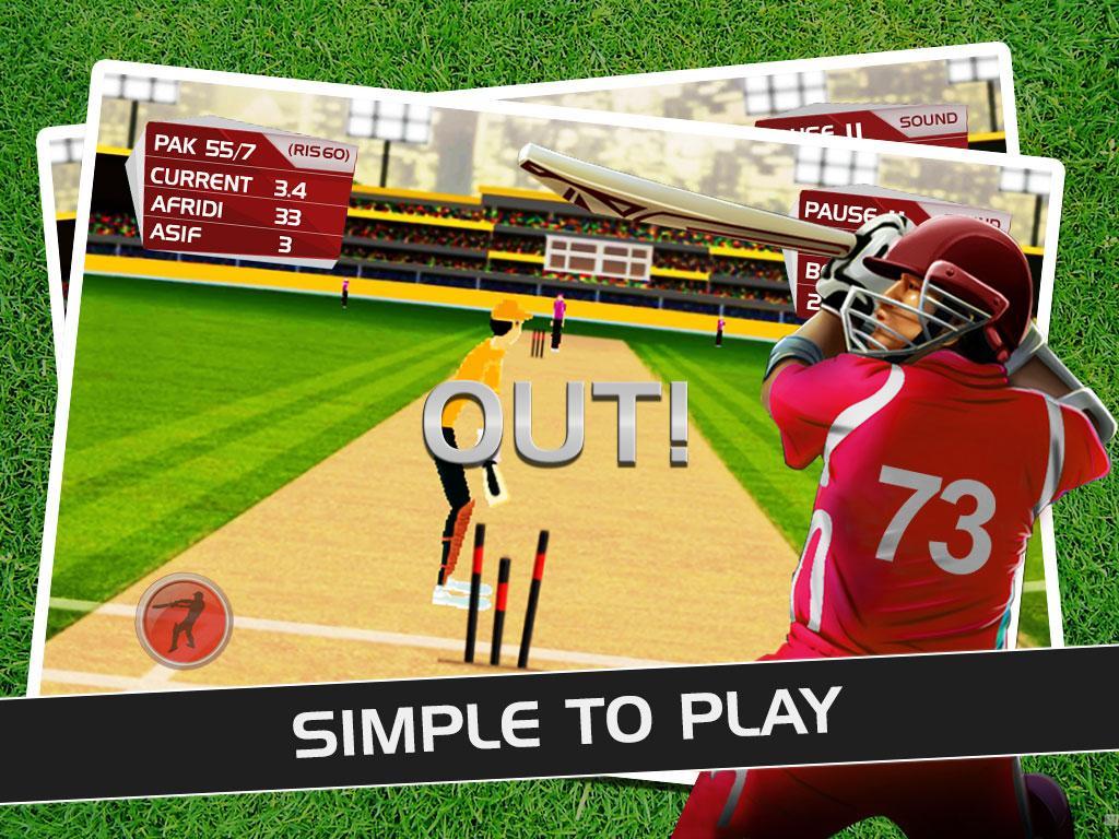 Play Cricket Matches