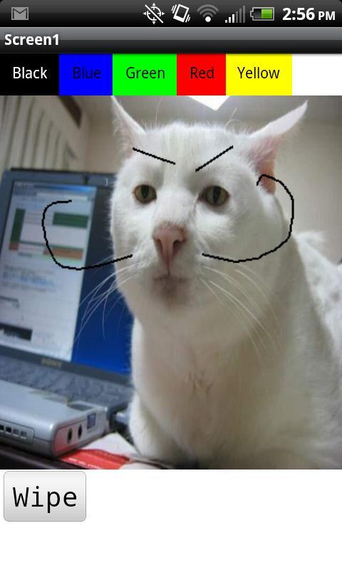 Serious Cat Painting Adventure