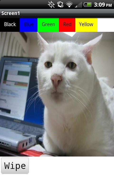 Serious Cat Painting Adventure