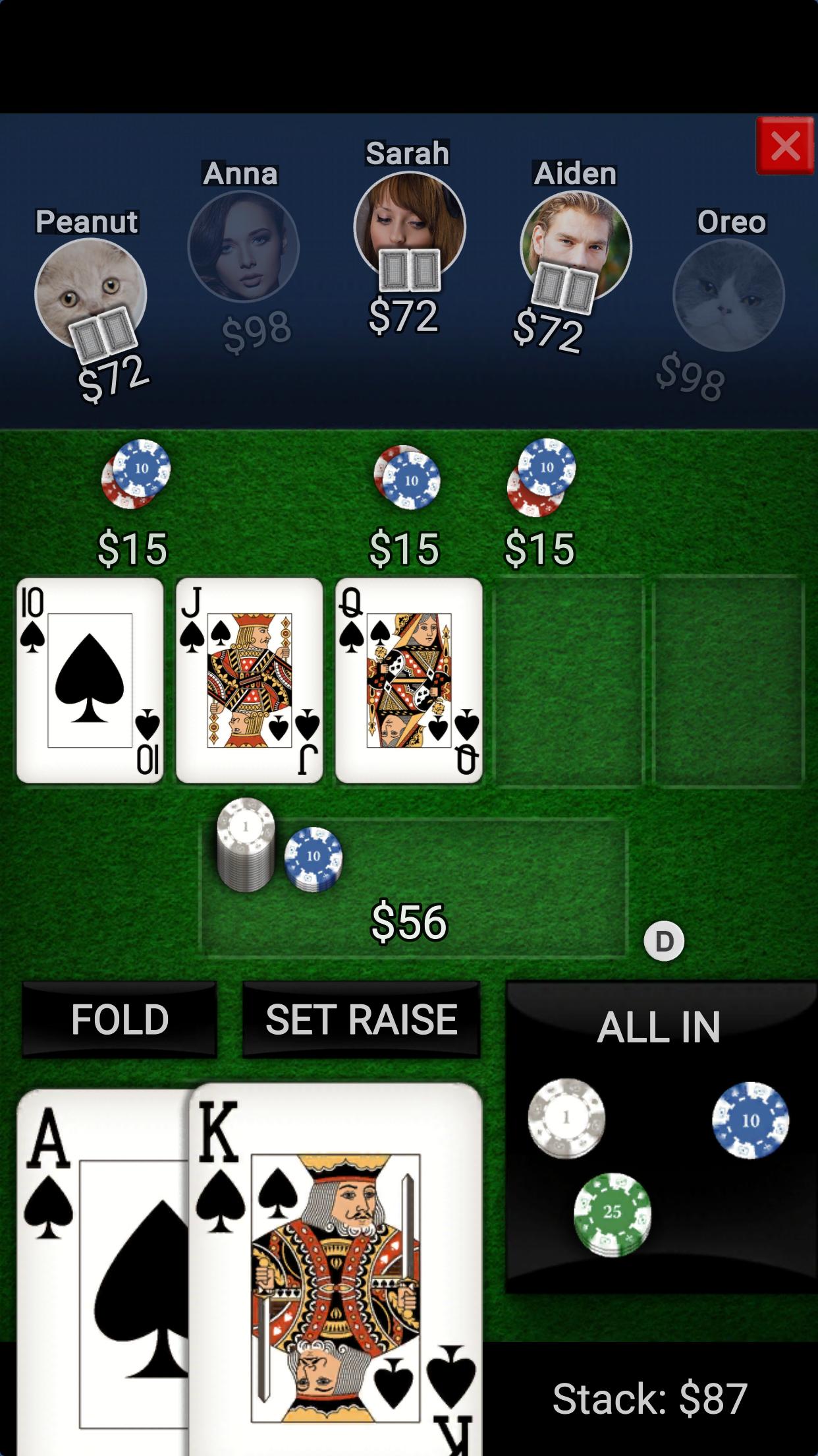 Texas Holdem Offline Poker